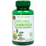 Garcinia Cambogia and Green Coffee Bean