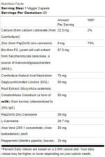 Stomach Defense Essentials | With PepZinGI and Comforteze - Image 2