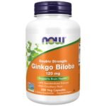 Ginkgo Biloba 120 mg / Double Strength