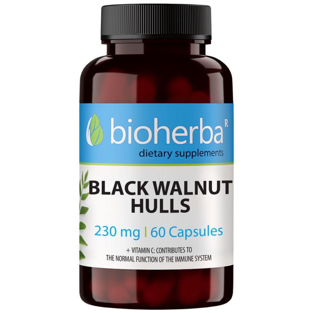 63182311_big-1d5eea5-1000x1000xwhite Black Walnut Hulls 230 mg - Image 1