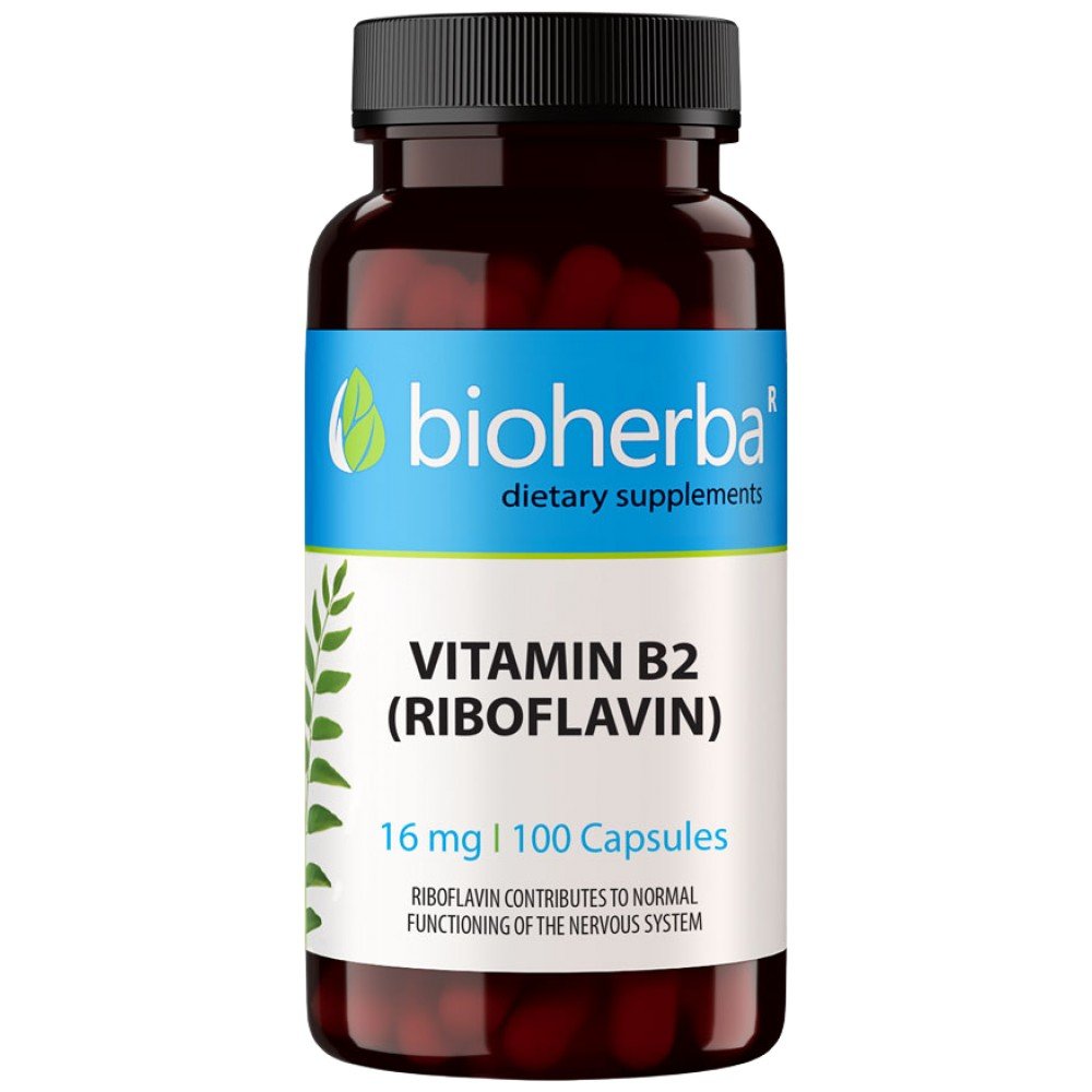 63188324_big-37e5687-1000x1000xwhite Vitamin B-2 16 mg - Image 1