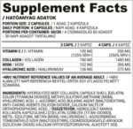 Collagen, Hyaluron, MSM + Vitamin C - Image 2