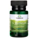 Lactobacillus Plantarum / L Plantarum