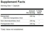 Super Fruit Complex | Mangosteen, Pomegranate, Noni - Image 2