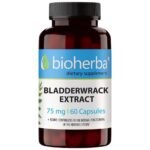 Bladderwrack Extract 75 mg