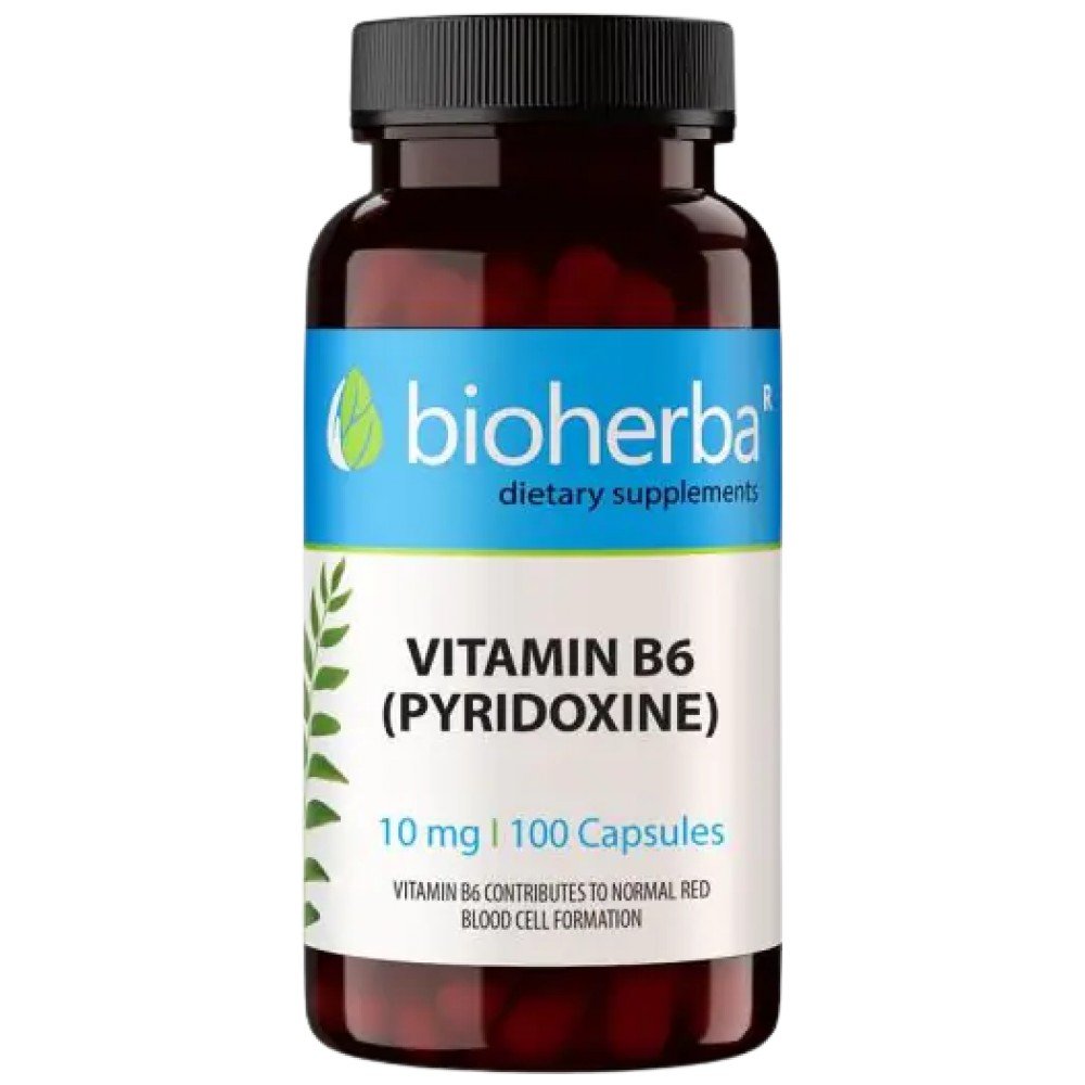 bh3666_en-1cd9d08-1000x1000xwhite Vitamin B-6 100 mg | Pyridoxine - Image 1