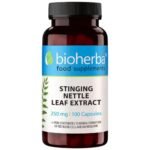 Stinging Nettle Leaf 350 mg