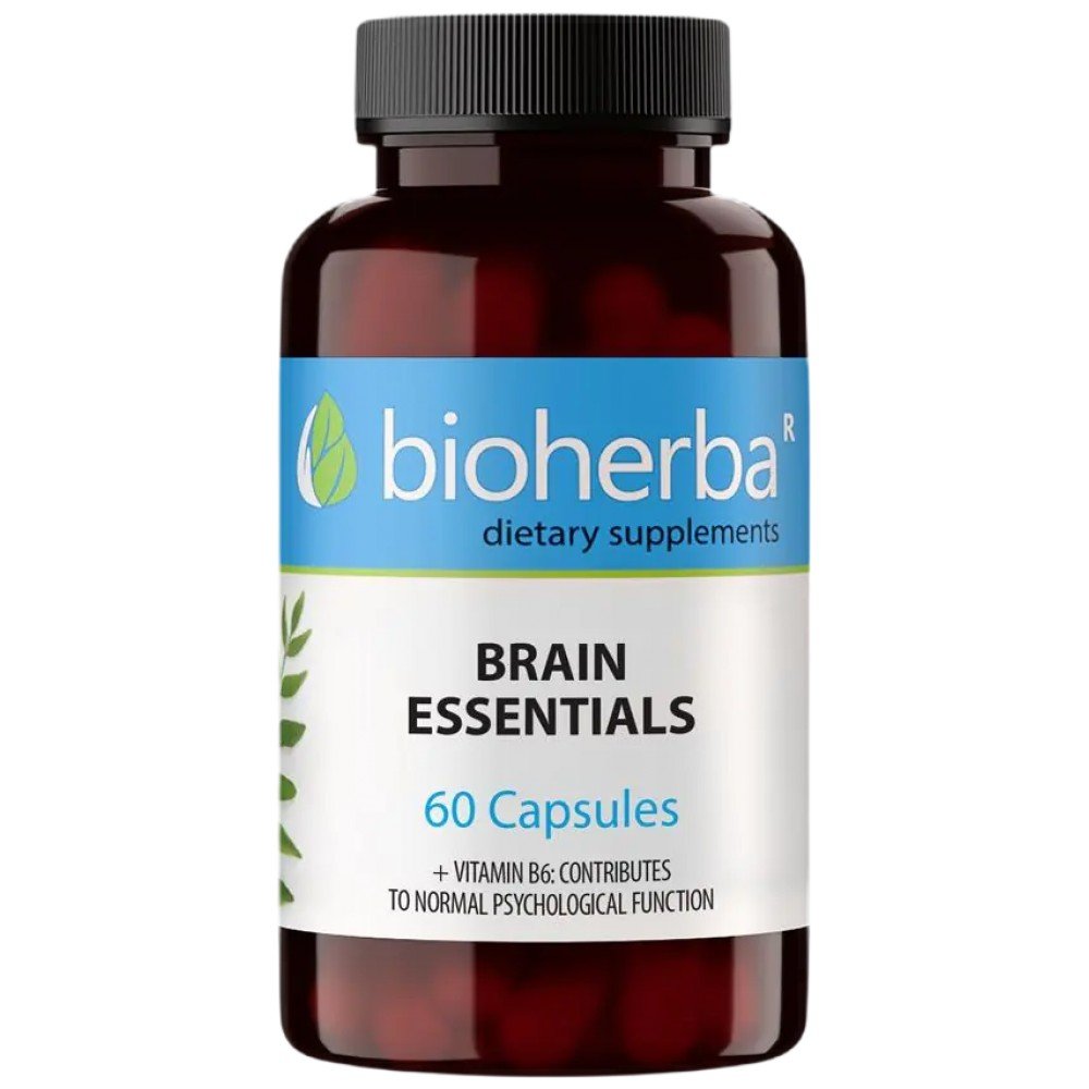 bh4038_en_1-d22853e-1000x1000-1 Brain Essentials - Image 1