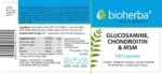 Glucosamine & Chondroitin + MSM - Image 2