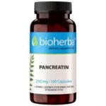 Pancreatin 10x 250 mg