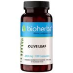 Olive Leaf 280 mg