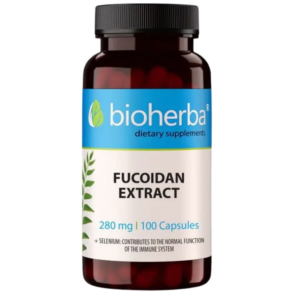 chrome_h4A8PtGlm4-d9d1058-1000x1000-1 Fucoidan Extract 280 mg - Image 1