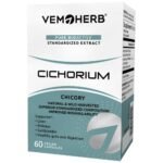 Cichorium