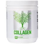 Collagen Powder / Types 1 and 3