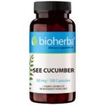 Sea Cucumber Extract 50 mg