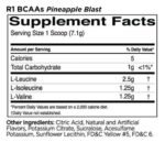 BCAAs | 100% Micronized 2:1:1 BCAA Formula - Image 2