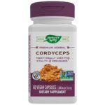 Cordyceps 500 mg