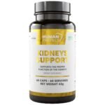 Kidneys Support | Proper Kidney Function Support