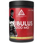 Tribulus 2000 mg | 90% Saponins Tribulus Extract