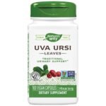 Uva Ursi 480 mg