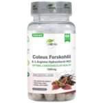 Coleus Forskohlii 25% – Forskolin & L-Arginine 1000 mg
