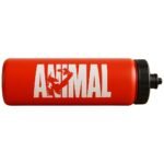Animal Water Bottle
