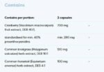 Cranberry EXTRA 700 mg | with Common Knotgrass & Horsetail - Image 2