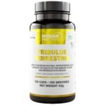 Tribulus Terrestris 204 mg | with 98% Saponins