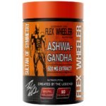Ashwagandha 500 mg