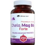 Chela Mag B6 Forte / 90 Caps