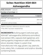 Ashwagandha KSM-66® / 60 Caps - Image 2