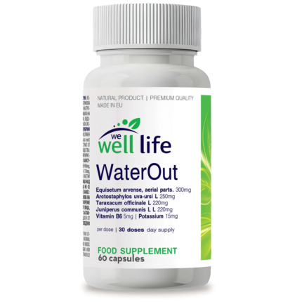 Well Life Диуретик 60cap (WaterOut)