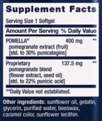 Pomegranate Fruit Extract - Image 2
