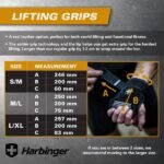 Pro Lifting Grips - Image 2