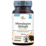 Himalayan Shilajit Resin 500 mg