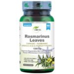 Rosmarinus Leaves | Carnosic – Rosmarinic – Ursolic acid § Hydroxytyrosol 600 mg