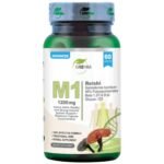 M1 | Reishi – Ganoderma Lucidum 40% Polysaccharides – Beta 1.3 600 mg